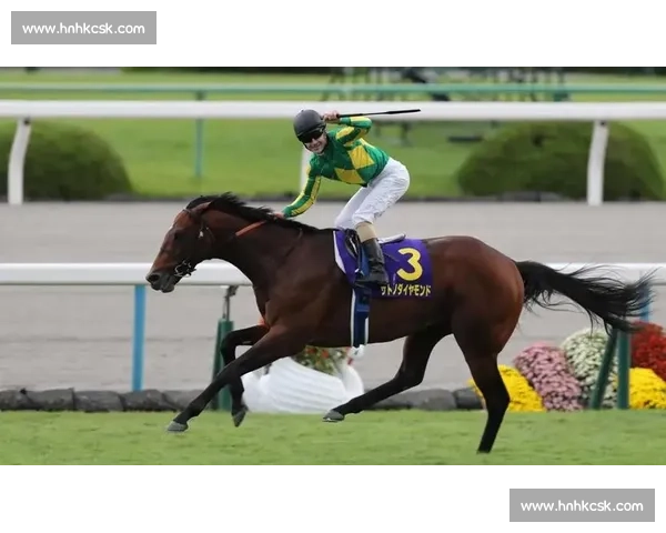 刚劲力登顶菊花赏！李慕华铸就三连冠传奇
