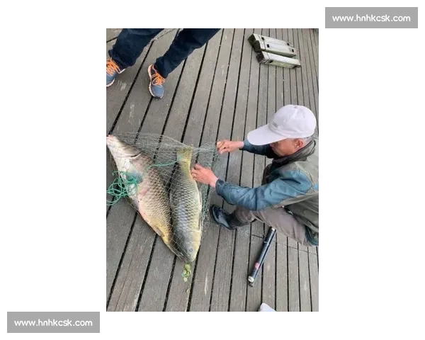 大爷钓起金黄大鱼，围观者哇声一片：这鱼值两万？